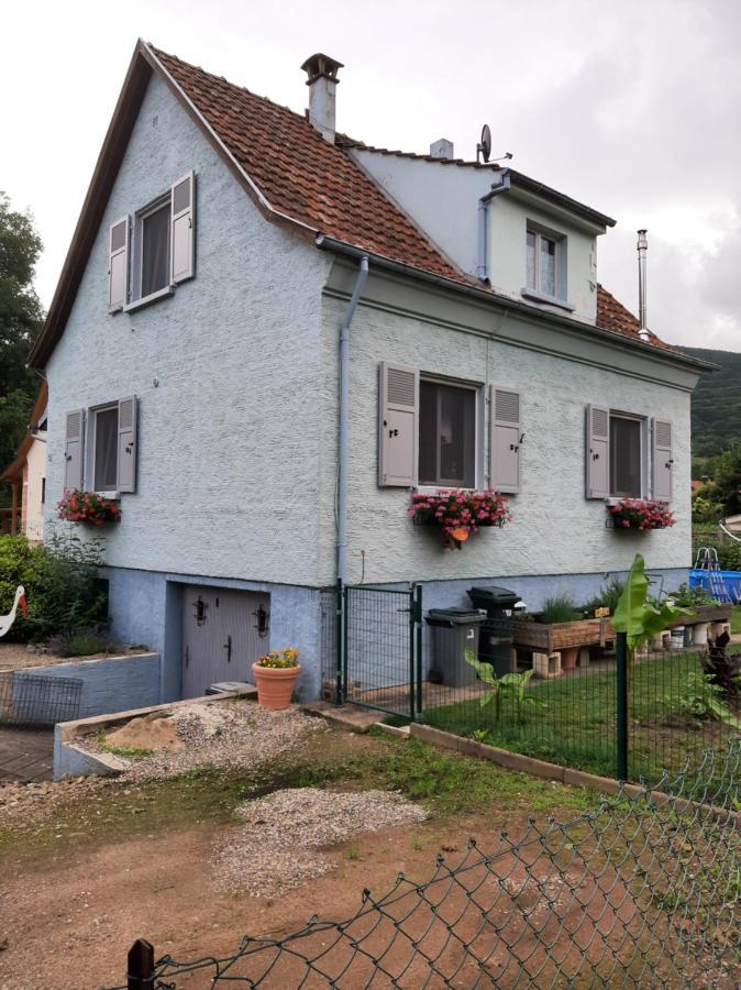 Gite Les Chiwawas D'Alsace Kaysersberg-Vignoble Ngoại thất bức ảnh