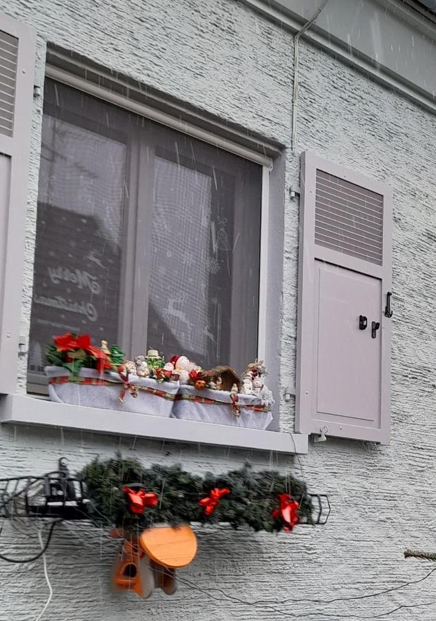 Gite Les Chiwawas D'Alsace Kaysersberg-Vignoble Ngoại thất bức ảnh